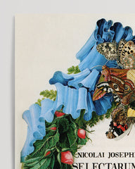 After Hover: Blumenkranz mit Schmetterlingen