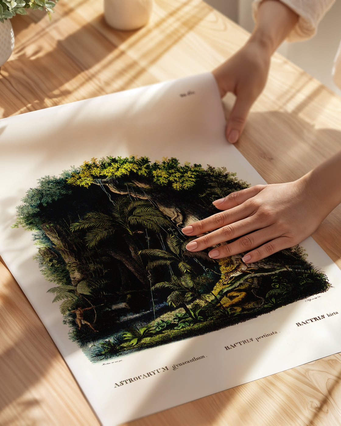 poster