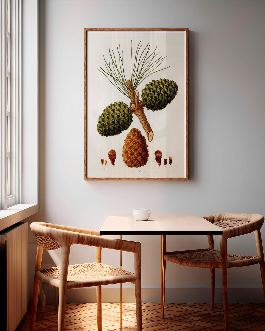 canvas