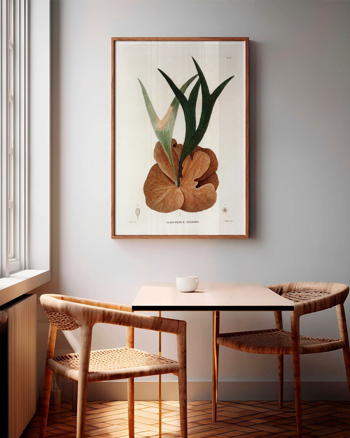 canvas