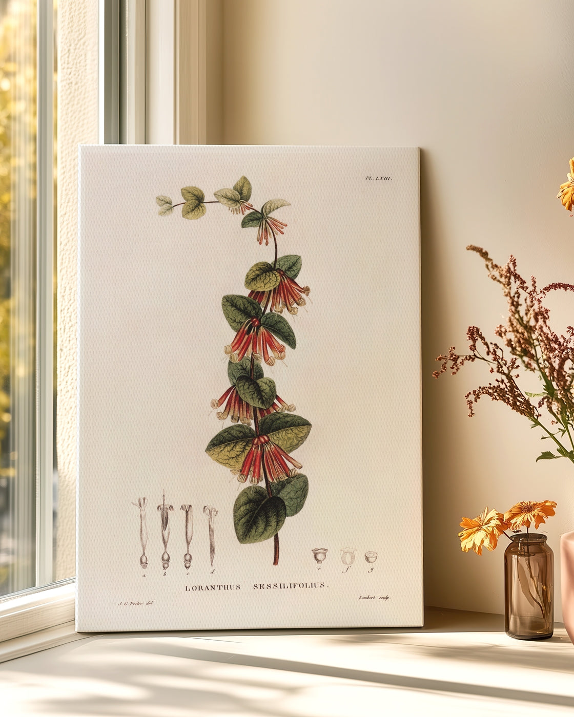 stretched-canvas