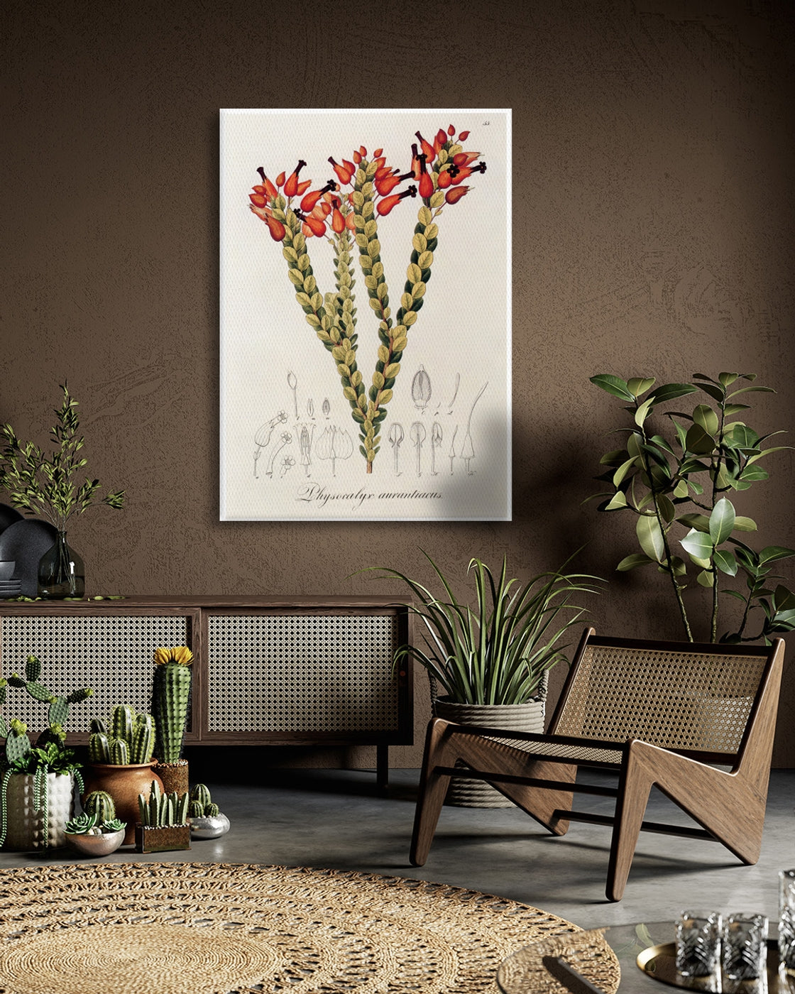 stretched-canvas