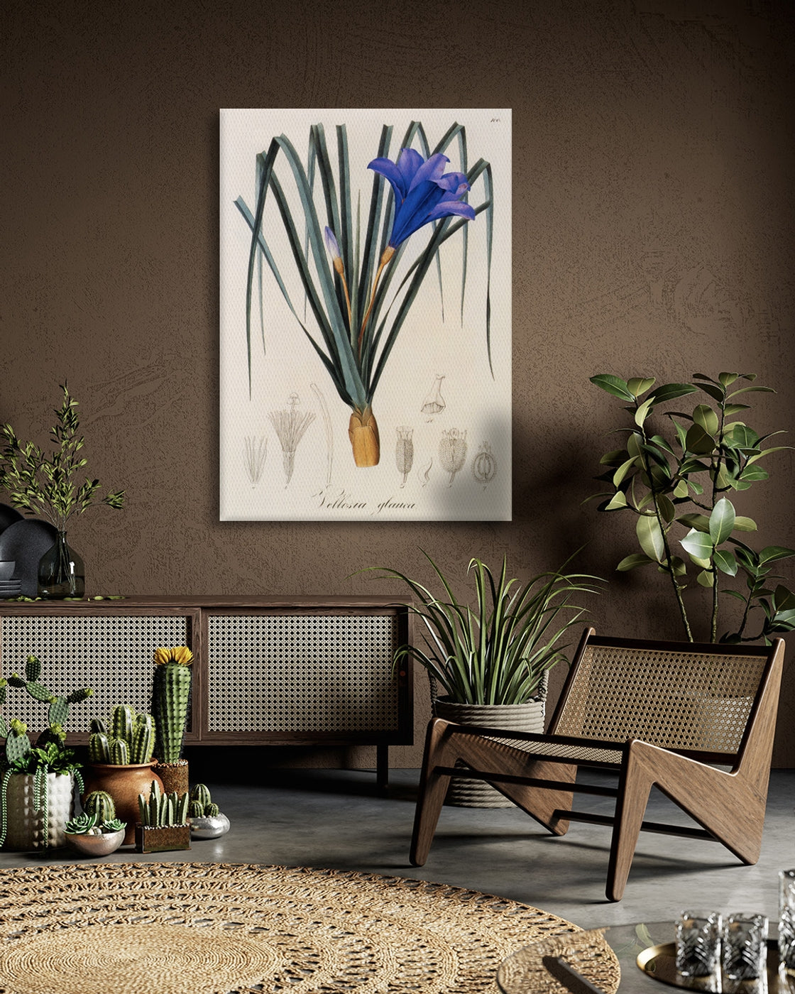 stretched-canvas