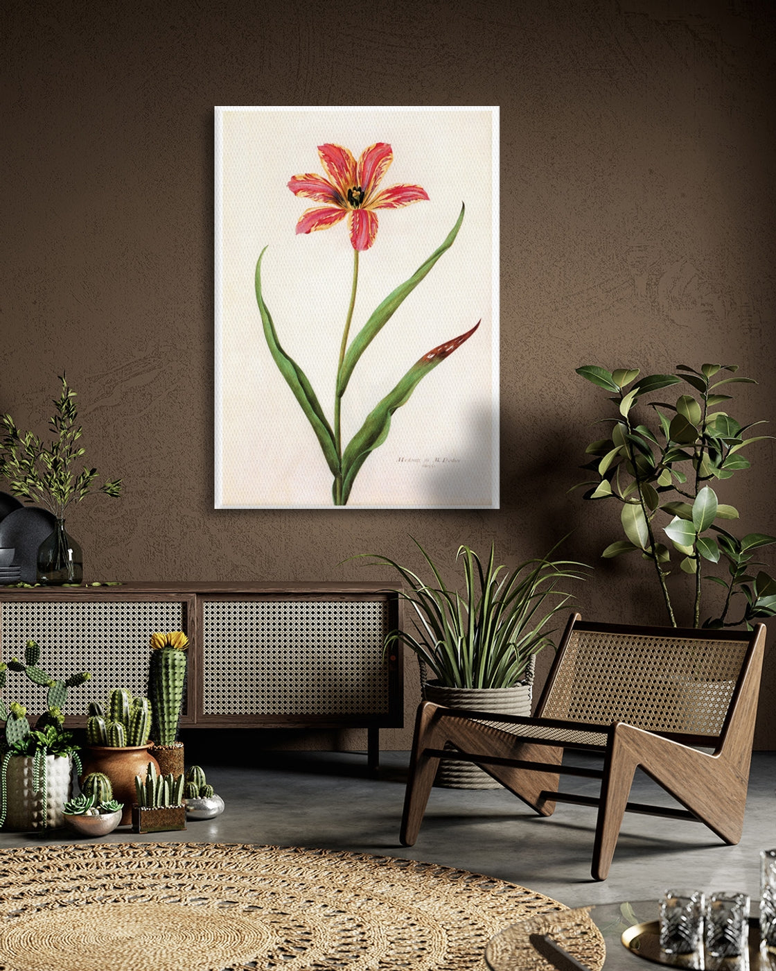 stretched-canvas