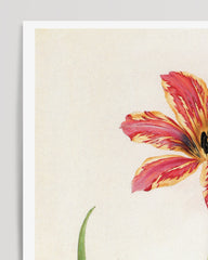 After Hover: Blume mit orangenem Blüten-Muster - Botanischer Kunstdruck