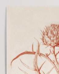 After Hover: Zeichnung einer Distel