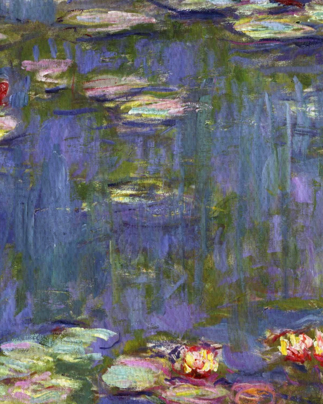 canvas