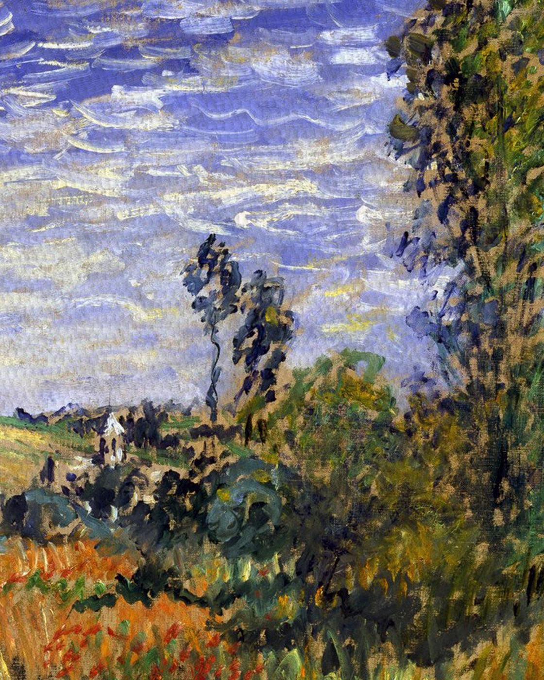 canvas
