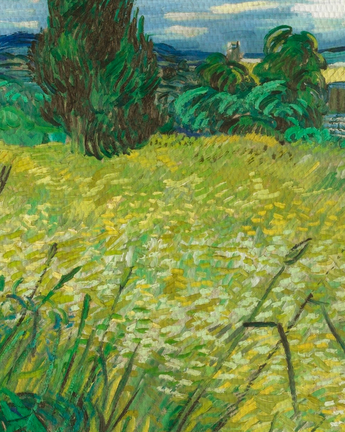 canvas