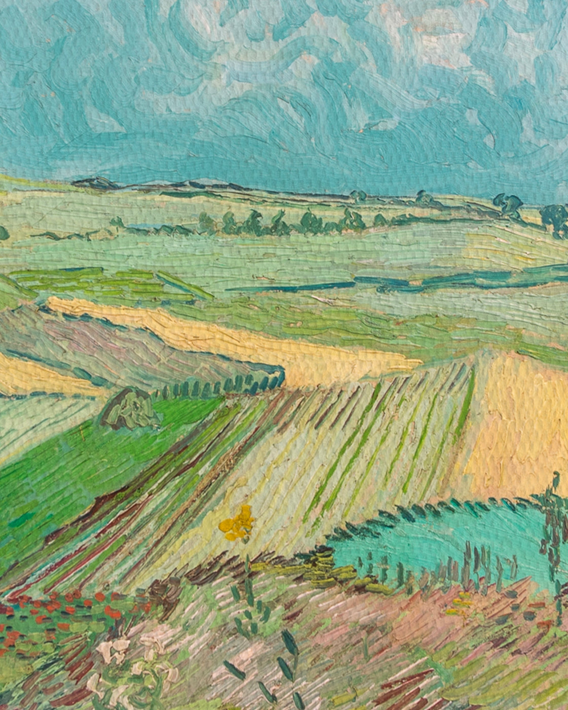 canvas
