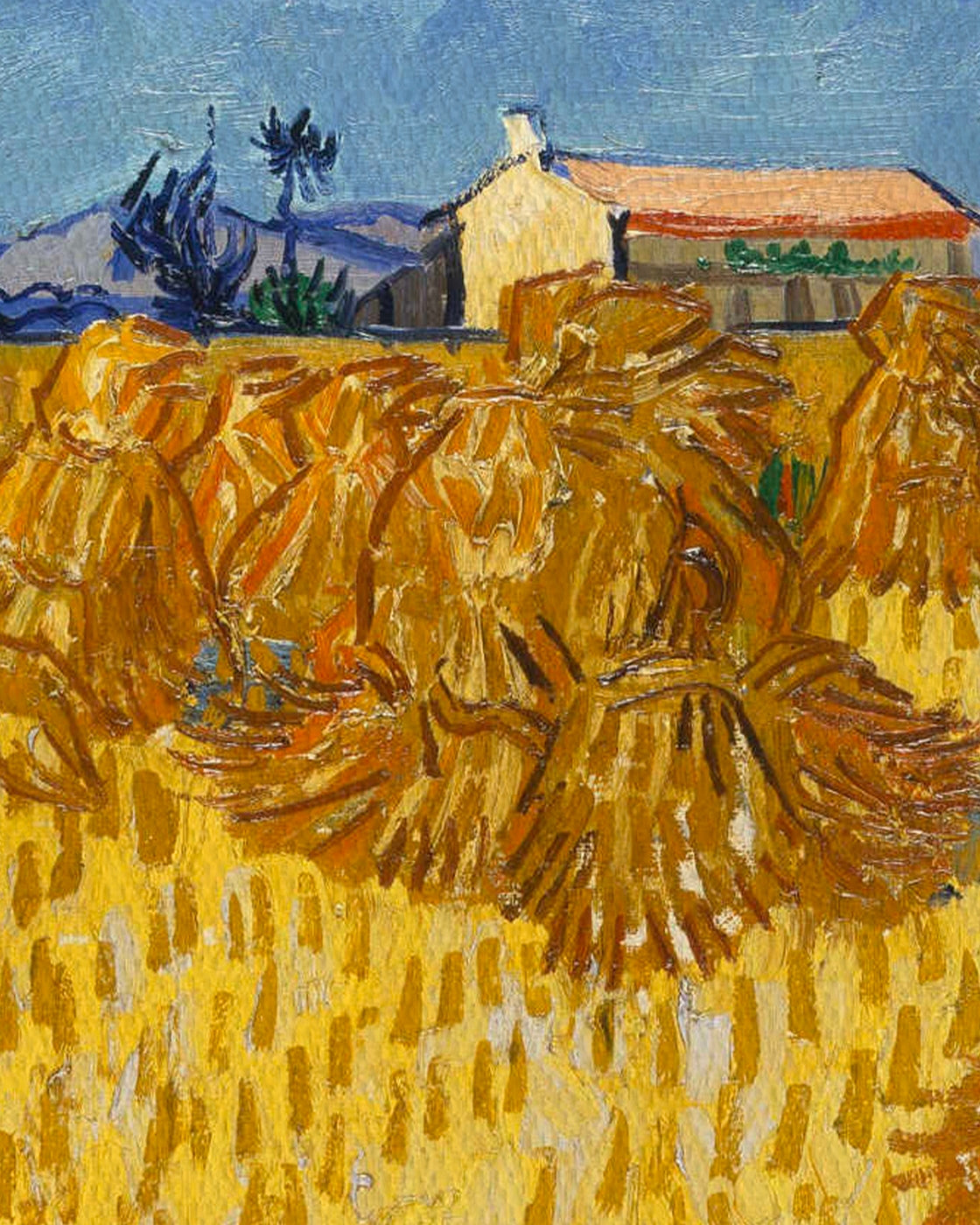 canvas