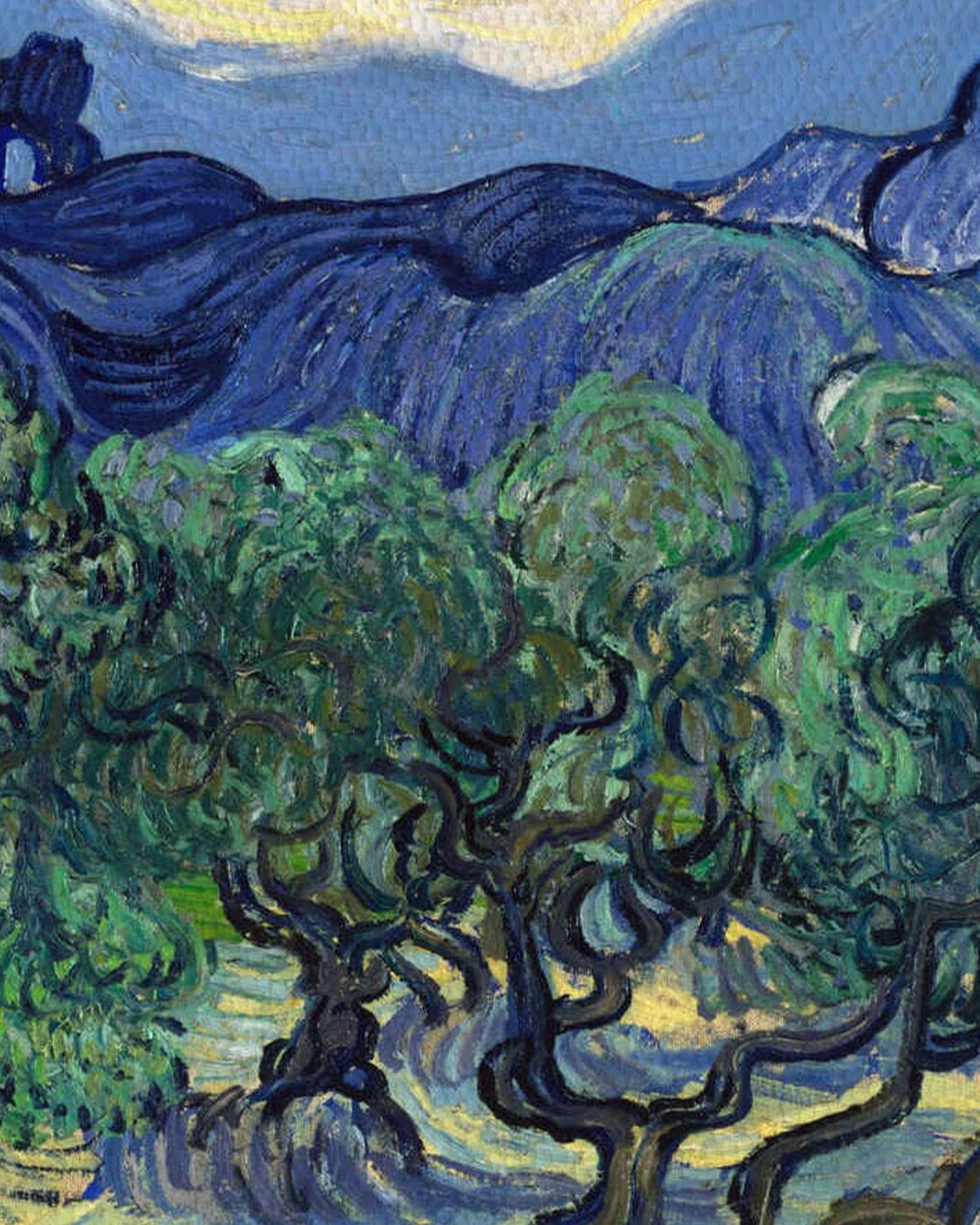 canvas