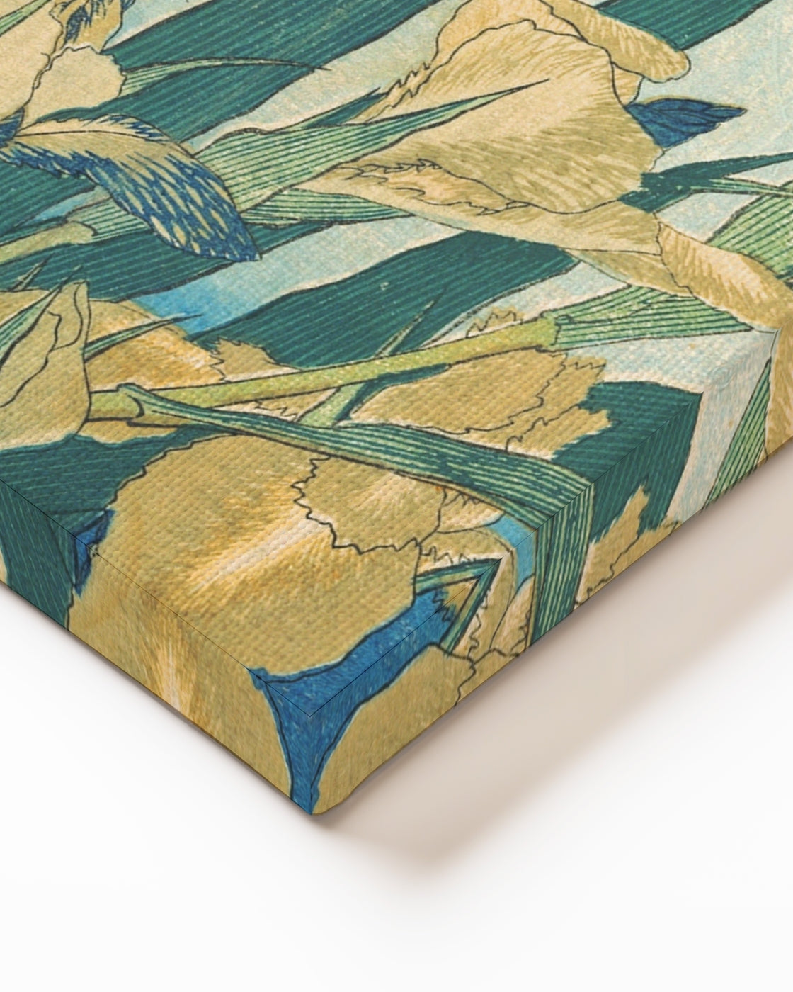 stretched-canvas