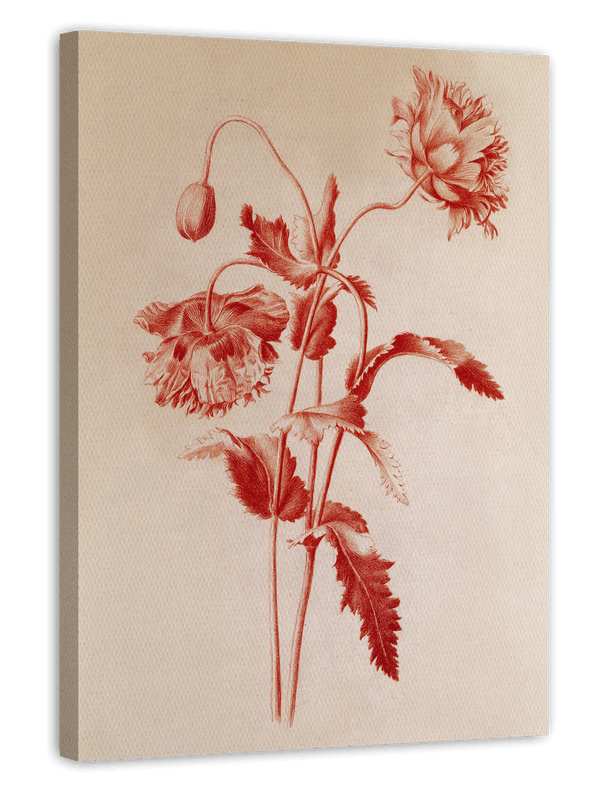 Blumenzeichnung
