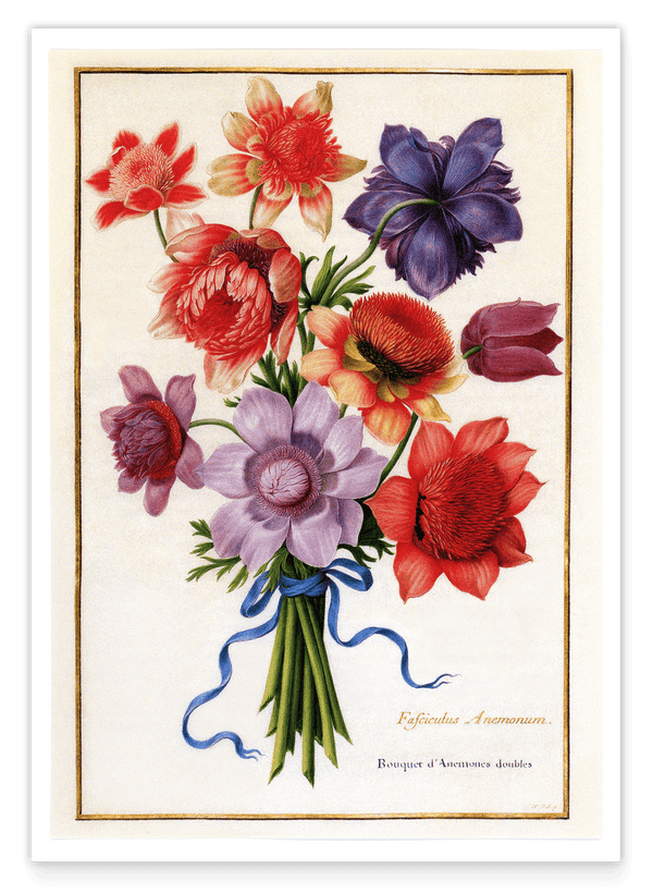 Bunter Blumenstrauß mit Anemonen