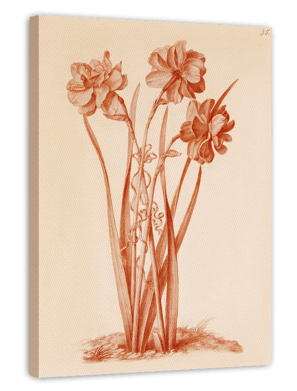 Blumenzeichnung