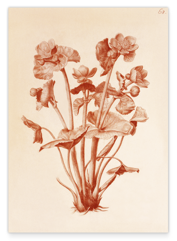 Blumenzeichnung