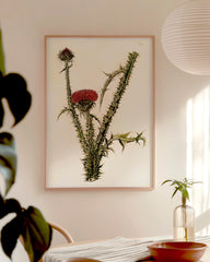 After Hover: Distel