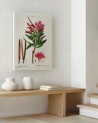 After Hover: Nerium Oleander - Rosenlorbeer