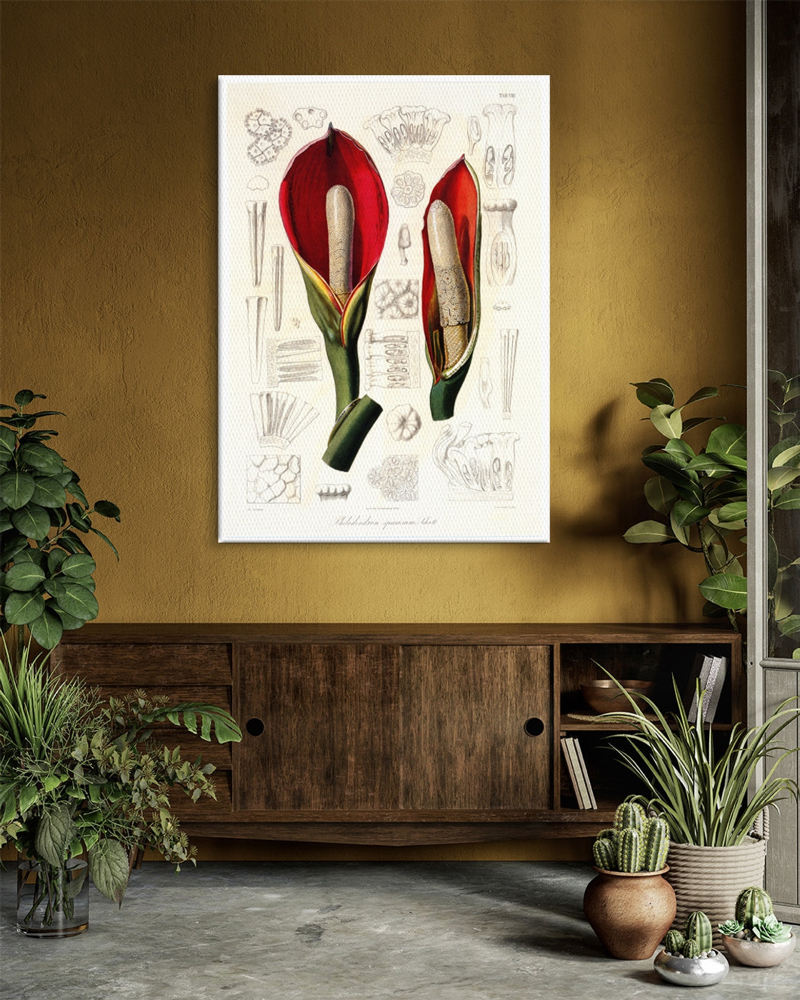 stretched-canvas