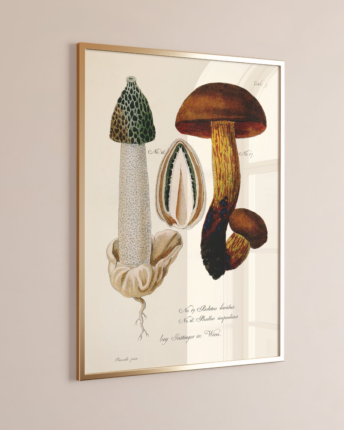poster