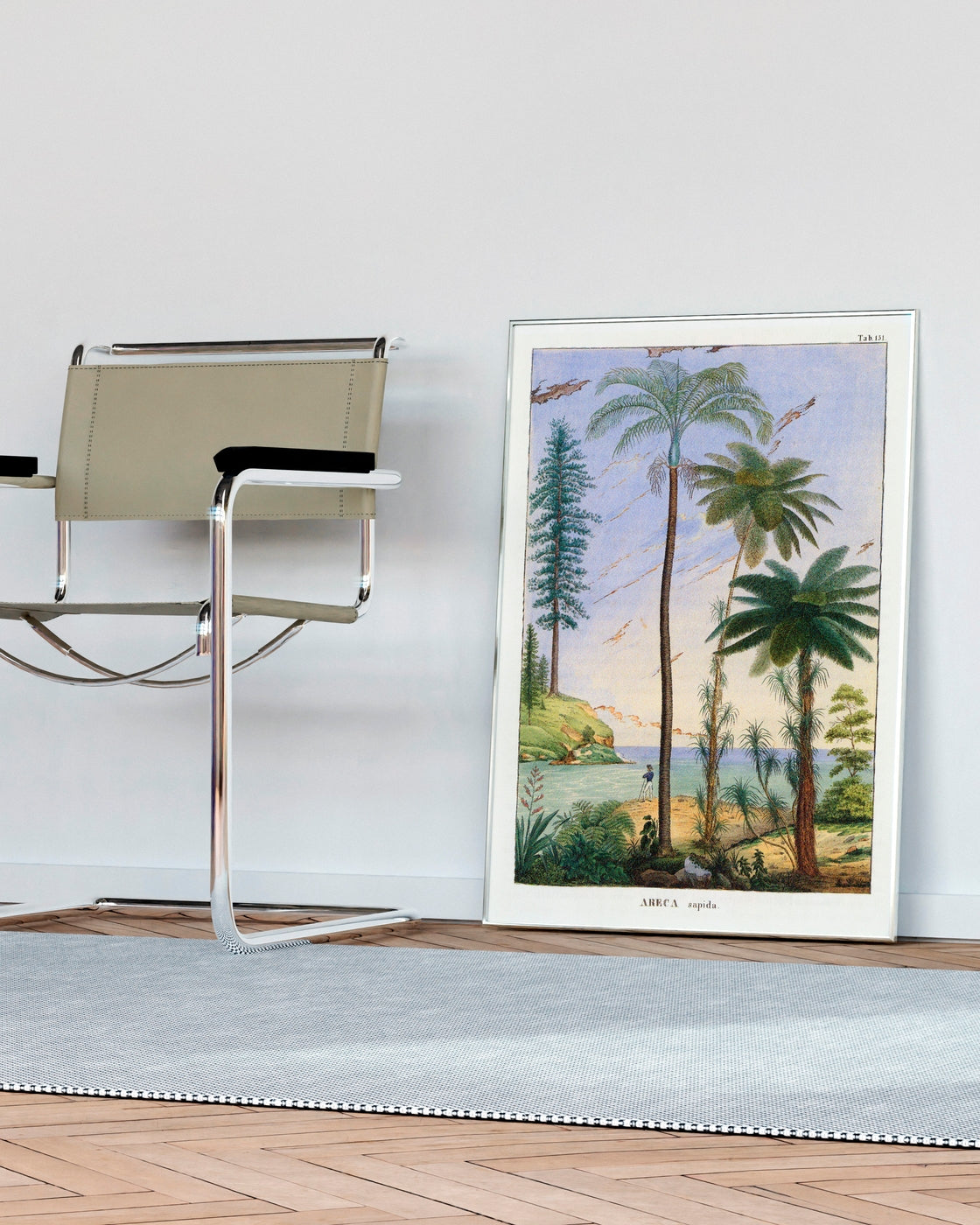 canvas