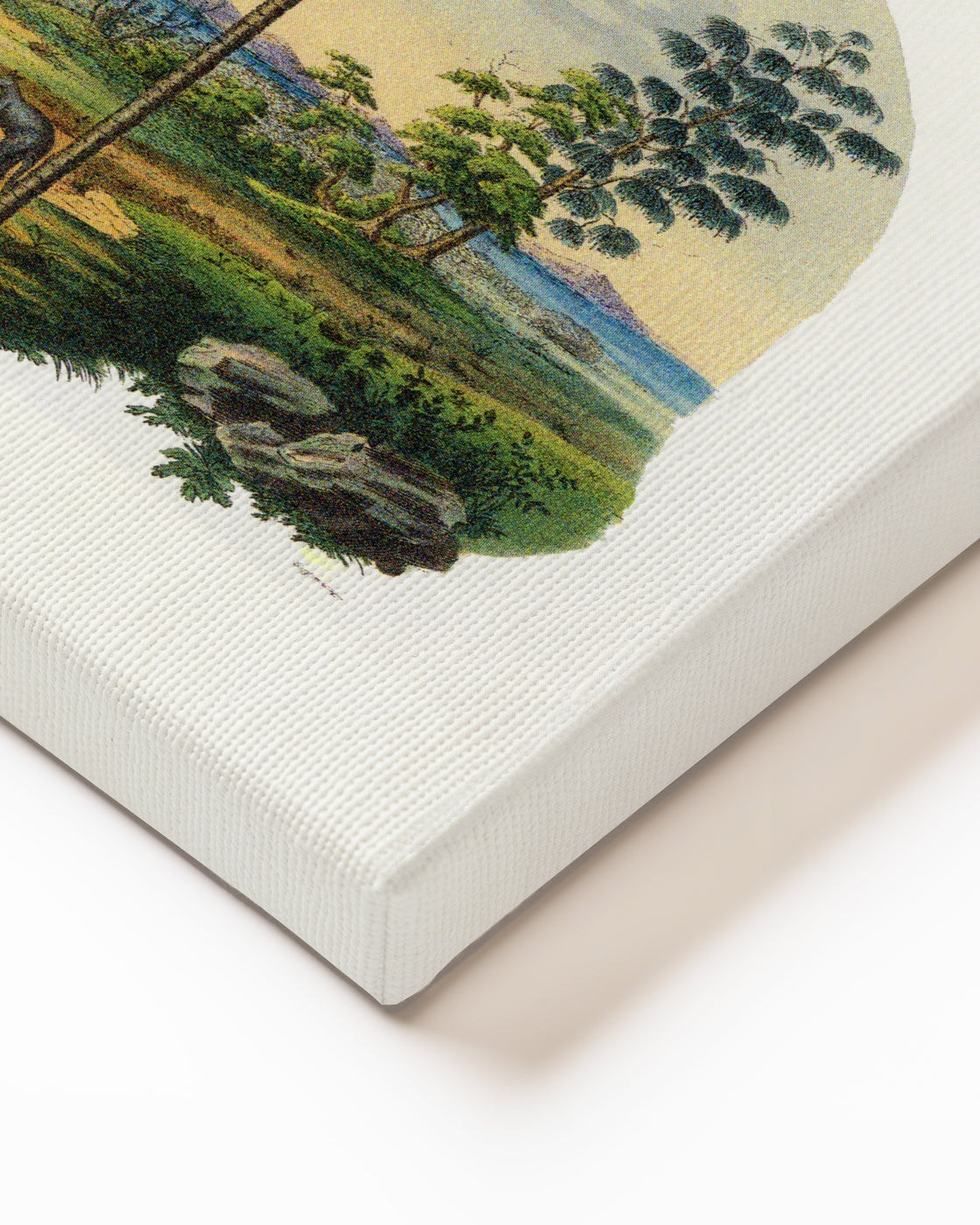 stretched-canvas