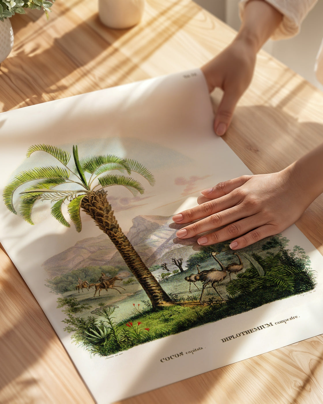 poster