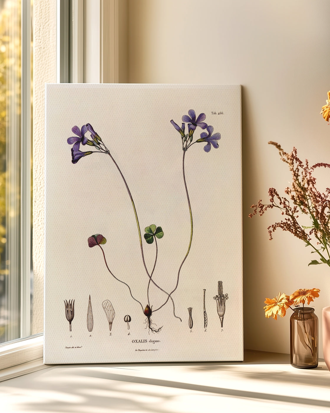 stretched-canvas