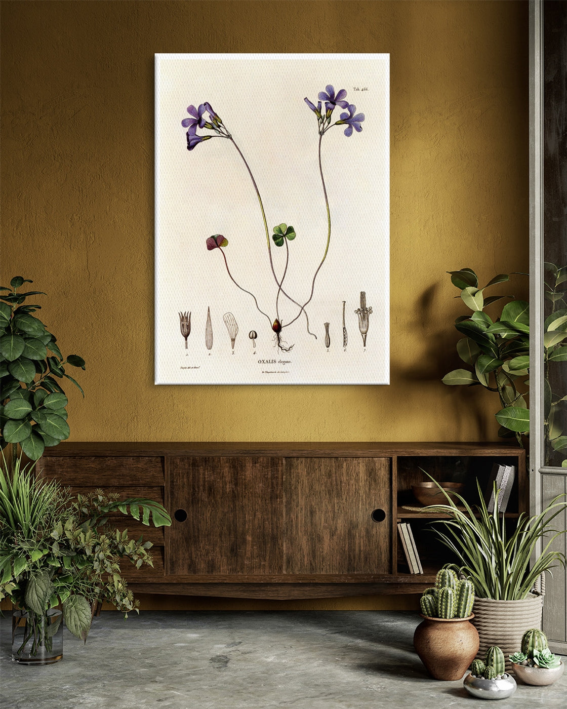 stretched-canvas