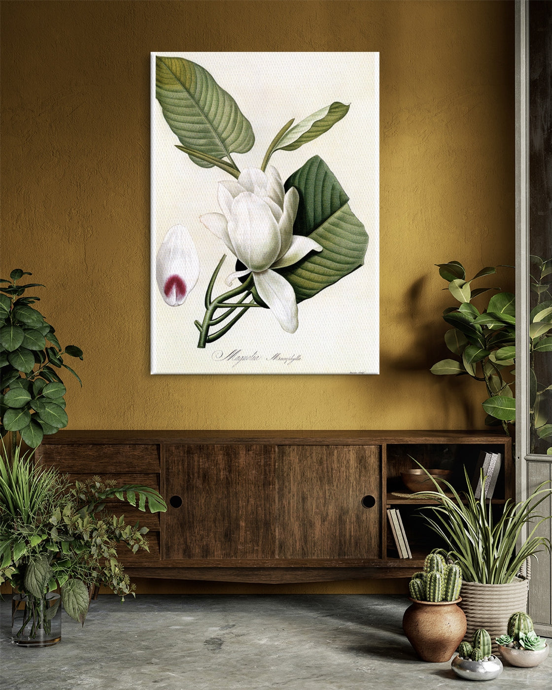stretched-canvas