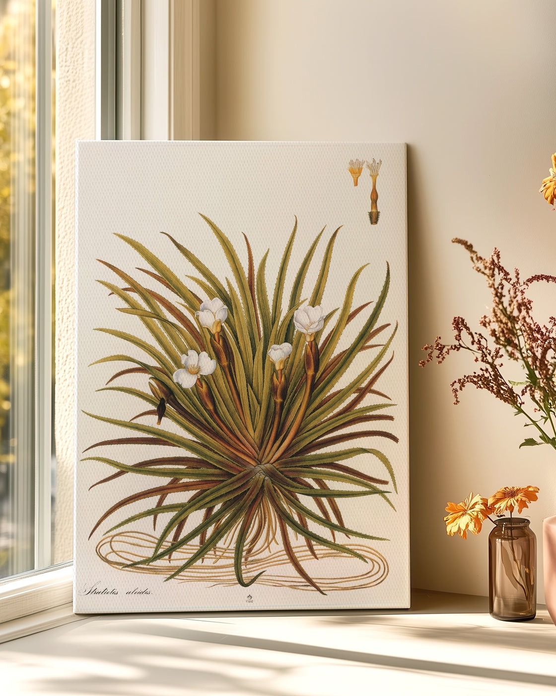 stretched-canvas