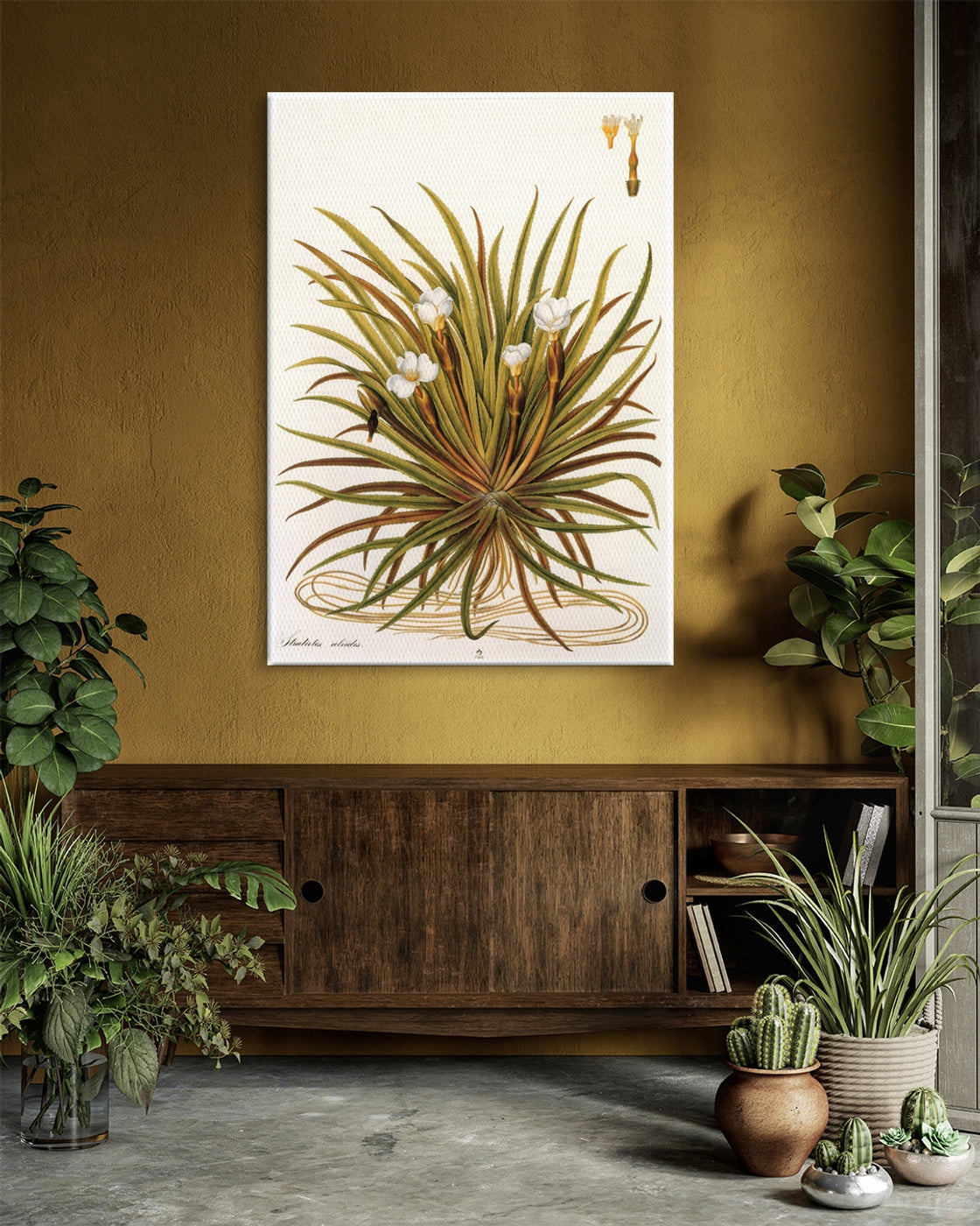 stretched-canvas