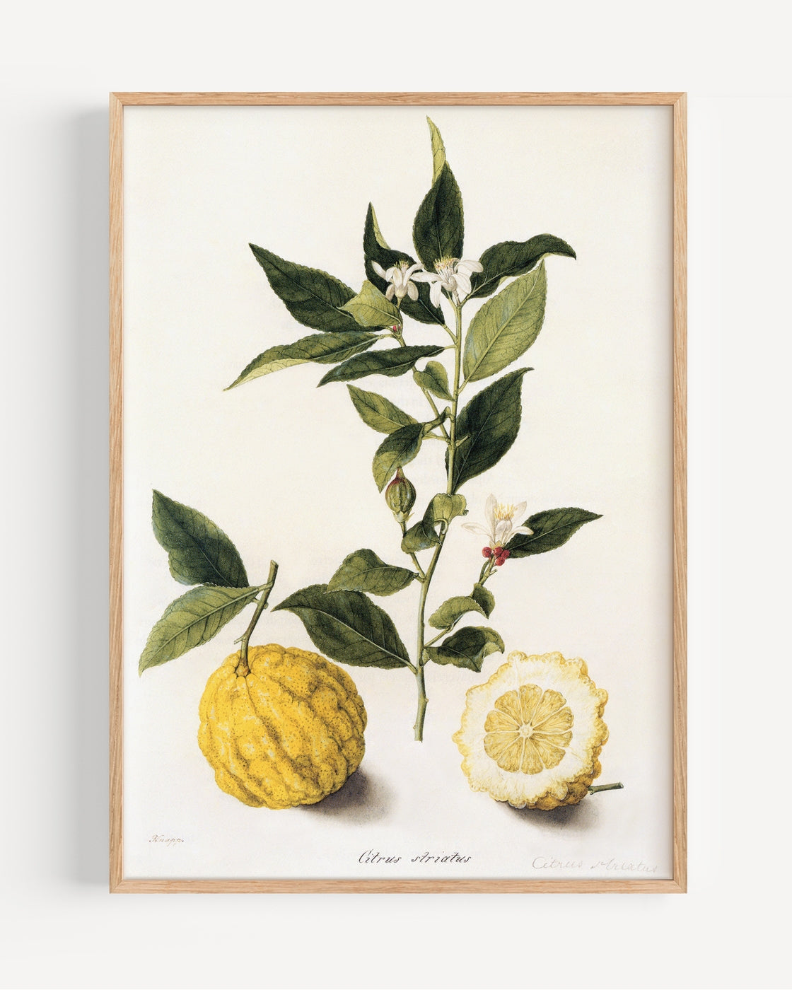 poster