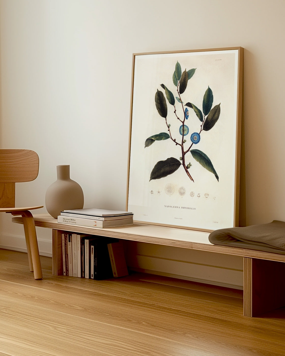canvas