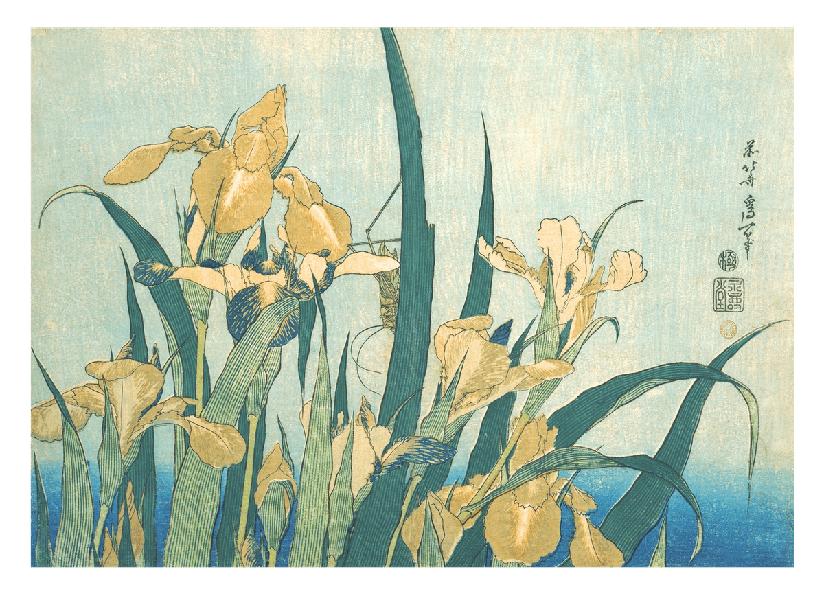 Katsushika Hokusai - Grashüpfer und Iris (Gelbe Blumen)