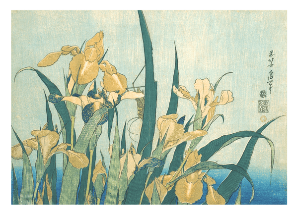 Katsushika Hokusai - Grashüpfer und Iris (Gelbe Blumen)