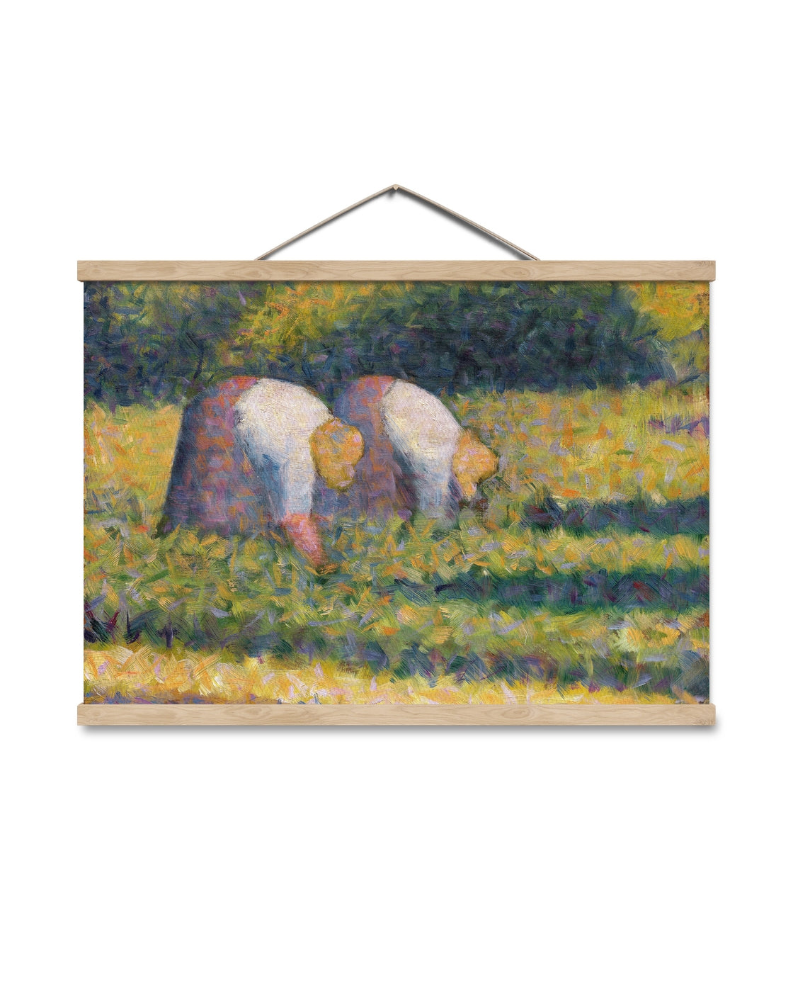 canvas
