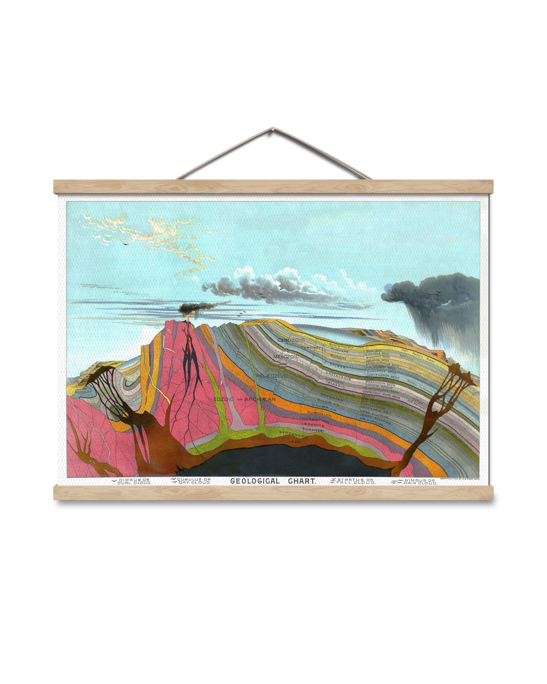canvas