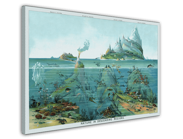 Unterwasser-Motiv "Nature in descending regions"