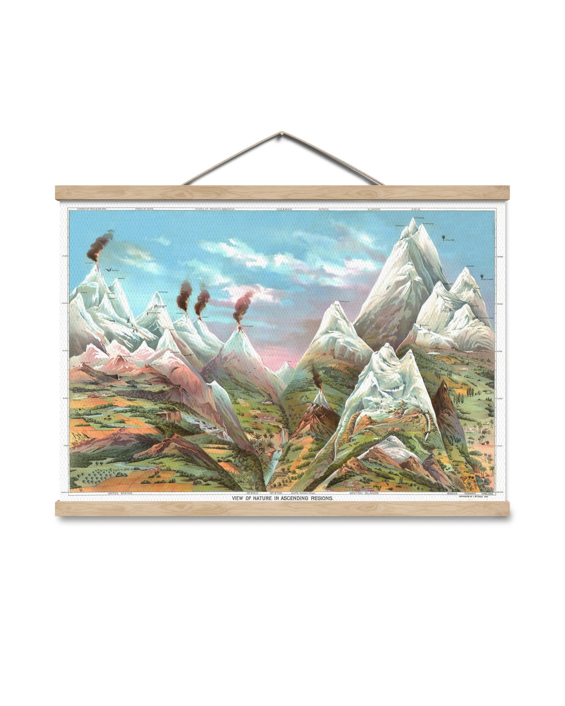 canvas