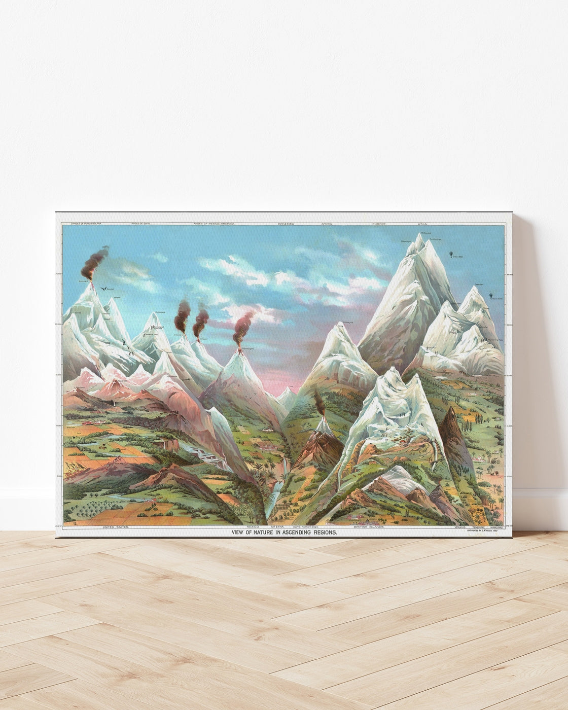 stretched-canvas
