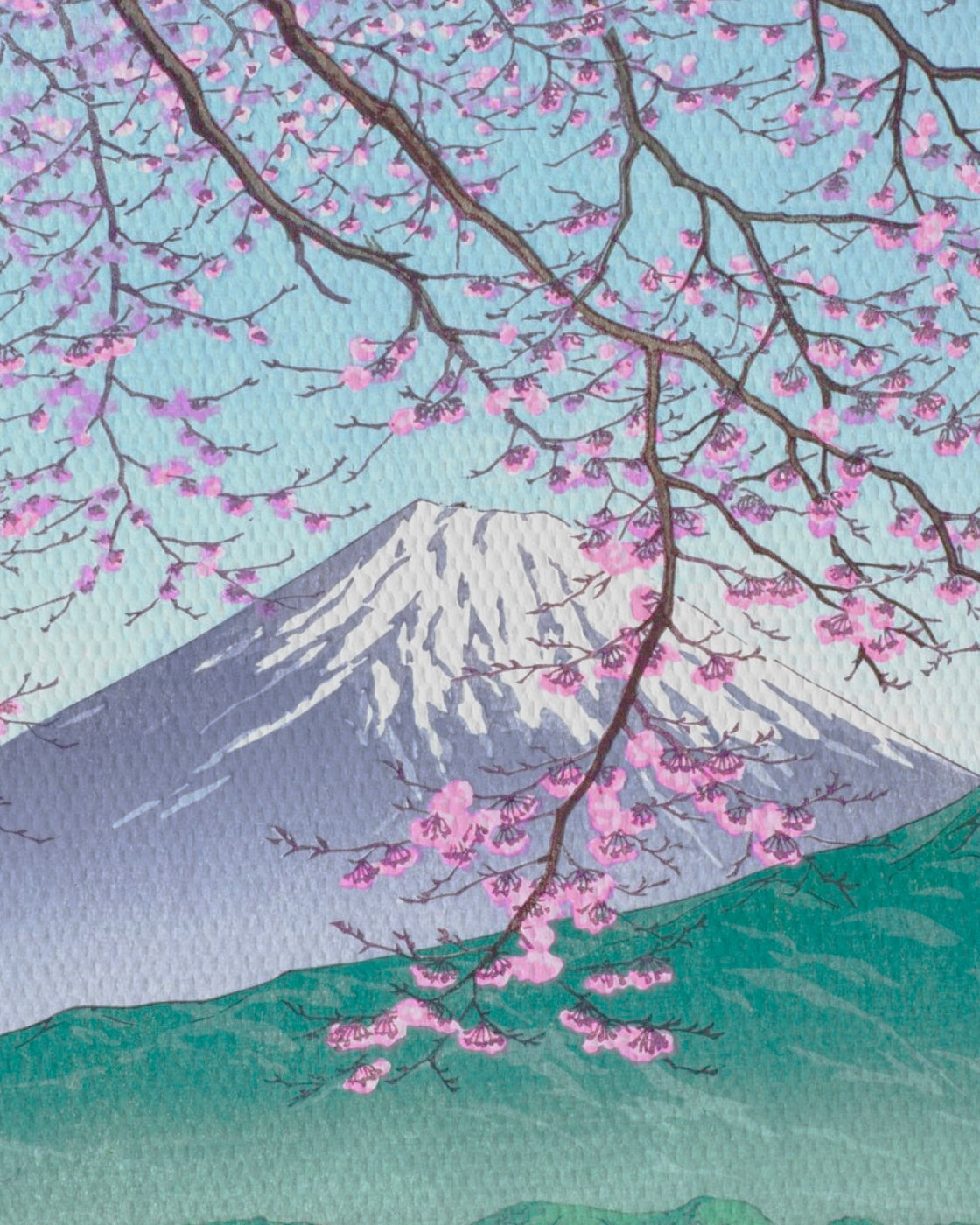 canvas