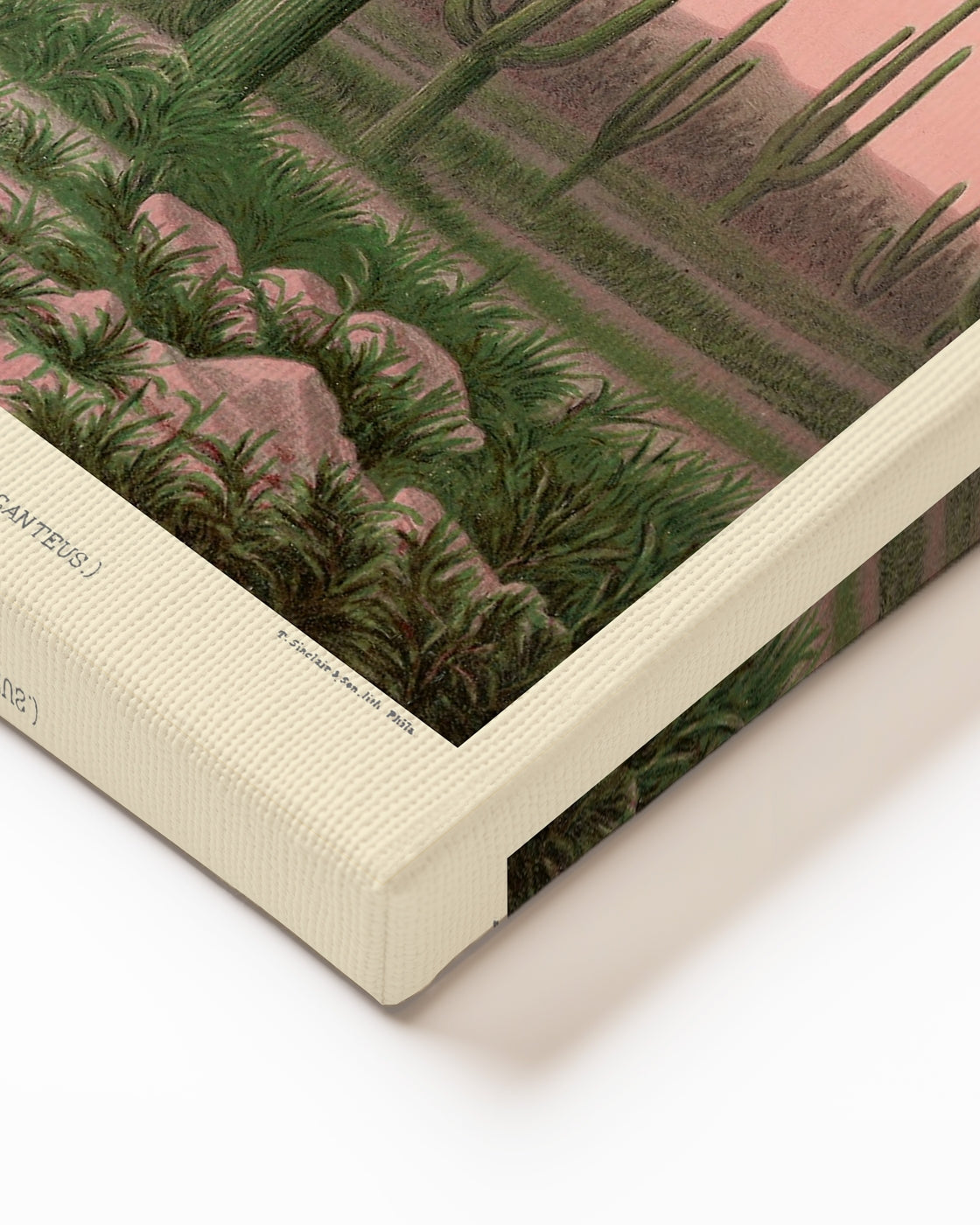 stretched-canvas