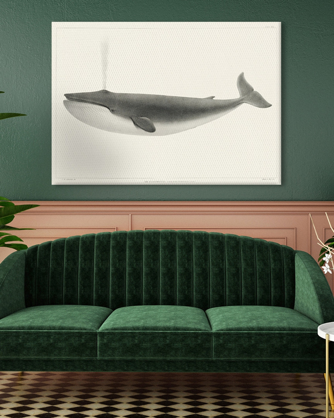 stretched-canvas