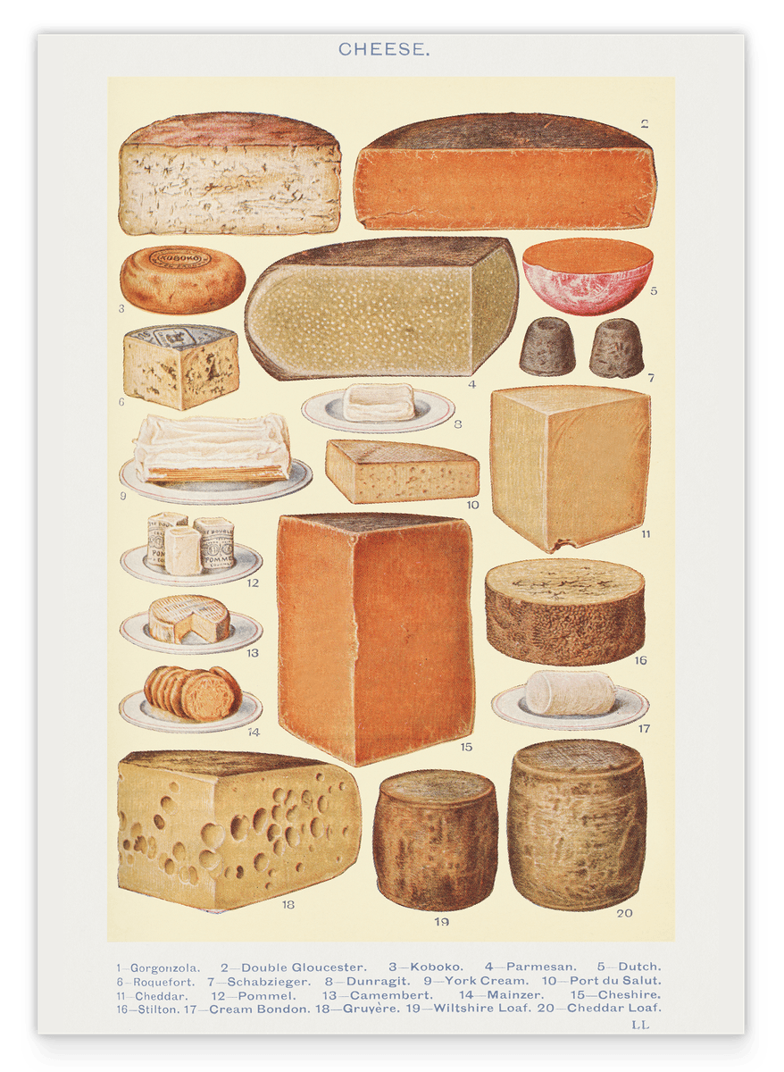 Käse-Übersicht aus Mrs. Beetons Book