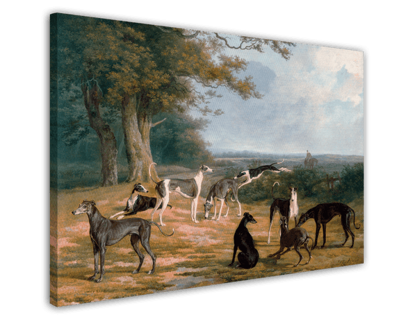 Nine Greyhounds in a landscape