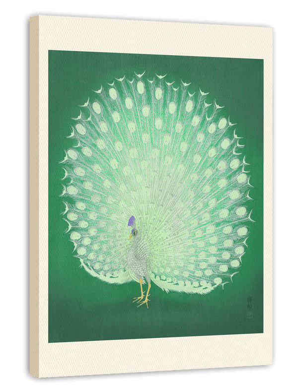 Ohara Koson - Weißer Pfau mit Rad
