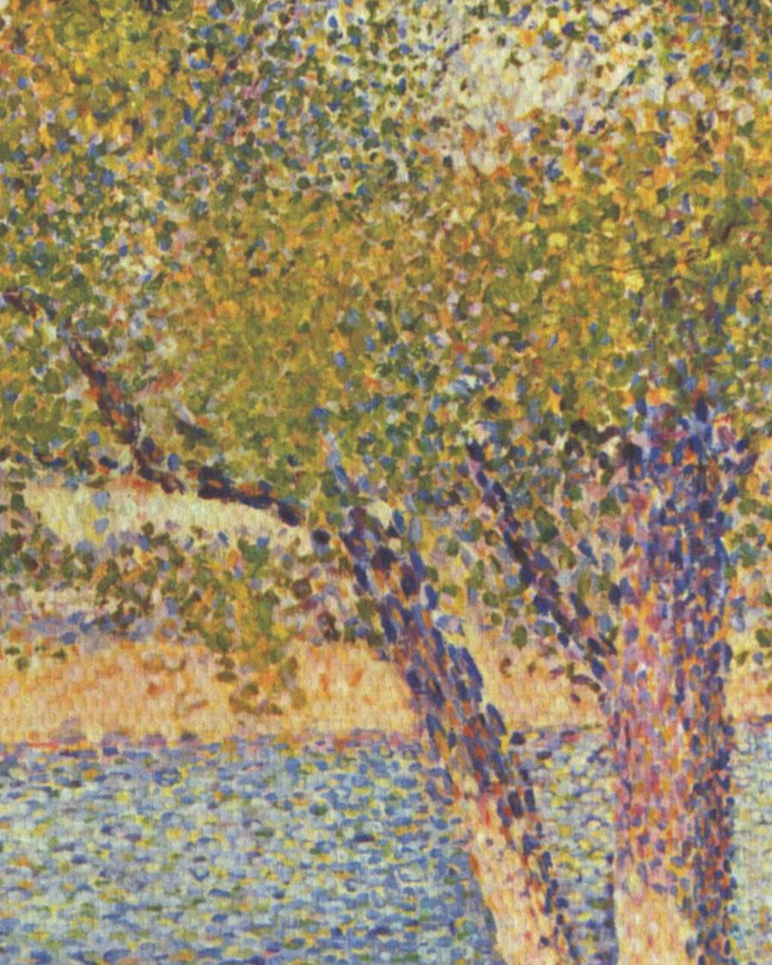 canvas