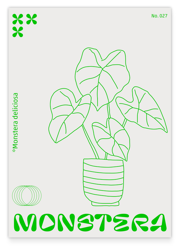 Monstera Deliciosa im Line Art Stil